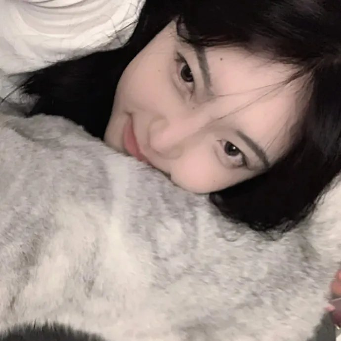 第19分部